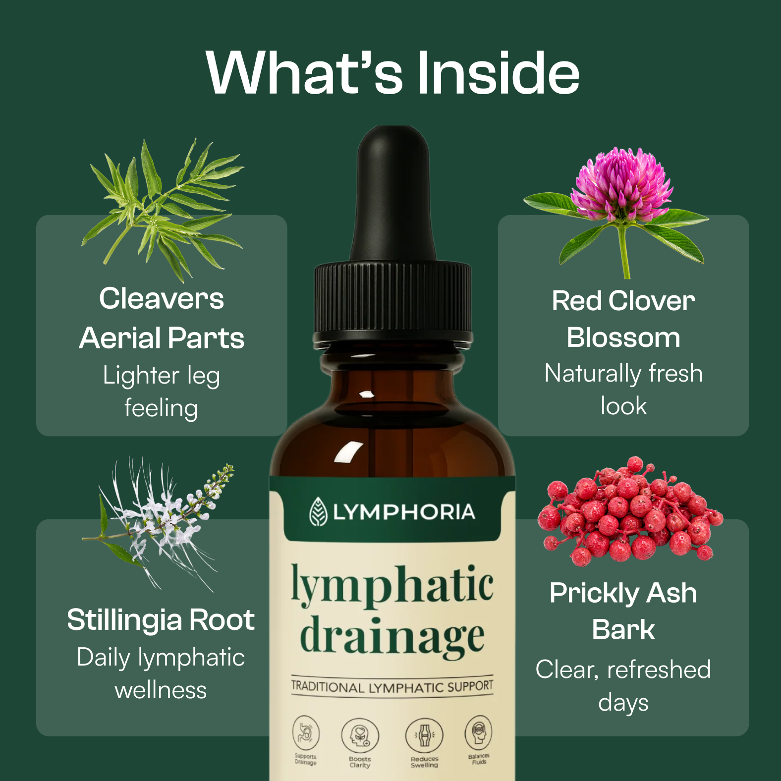 Lymphoria Drainage Drops