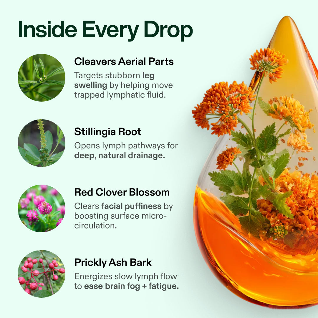 Lymphoria Drainage Drops
