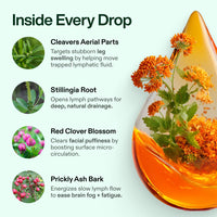 Lymphoria Drainage Drops